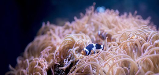 水族館